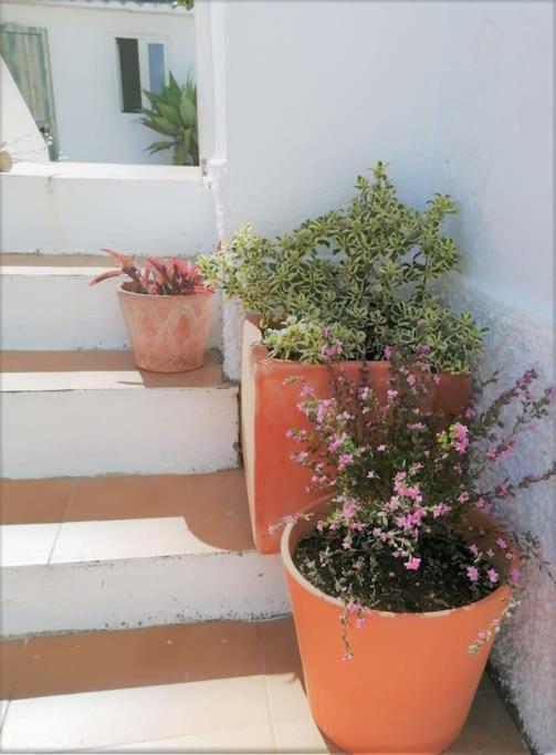 Cozy Apartment With Private Courtyard Barcarena Exterior photo